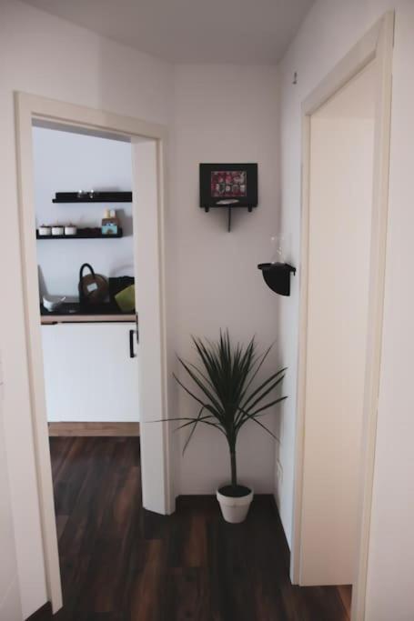 Schoene Wohnung Top Lage Koeln Work & Relax & Travel Frechen Extérieur photo